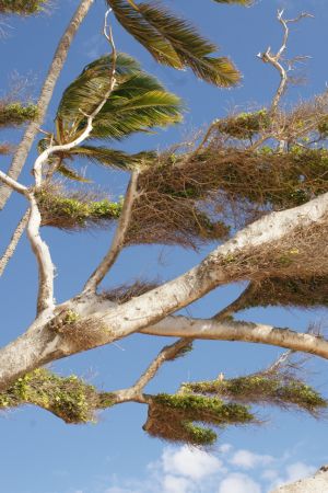 WS Wind and Sky - 18.jpg